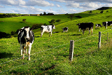 Directory of Agricultural Magazines