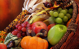 Directory of Food & Drink Magazines & Journals Online